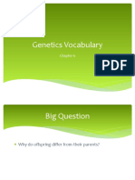 Genetics Vocabulary