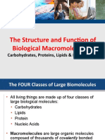 Biomolecules The Structure and Function of Carbohydrates Lipids and Phospholipids