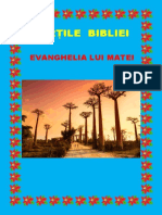 Cărți Din Biblie - Evanghelia lui Matei 40