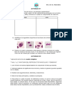 Actividad Diagn 4º PDF