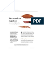 Trematidosis Hepaticas