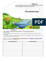 FICHA 1 - Ecosistema