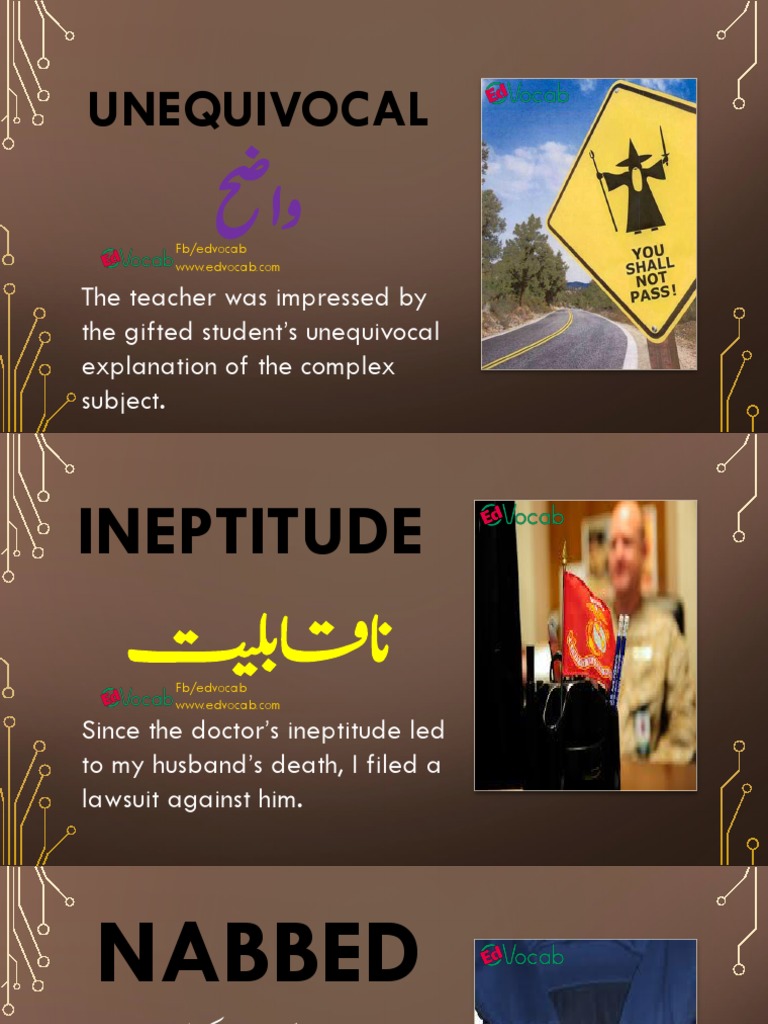 Important Vocabulary Flashcards Meaning and Example Sentences With PDF