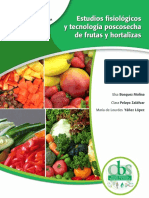 Estufis PDF