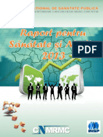 Raport-SM-2013.pdf
