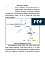 Metabolisme Karbohidrat PDF