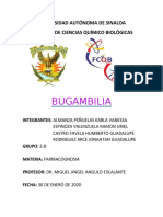 BUGAMBILIA