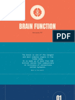 Brain Function PDF