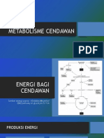 Metabolisme Cendawan A PDF