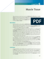 Musccle Tissue PDF