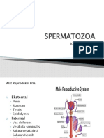 Presentasi Spermatozoa