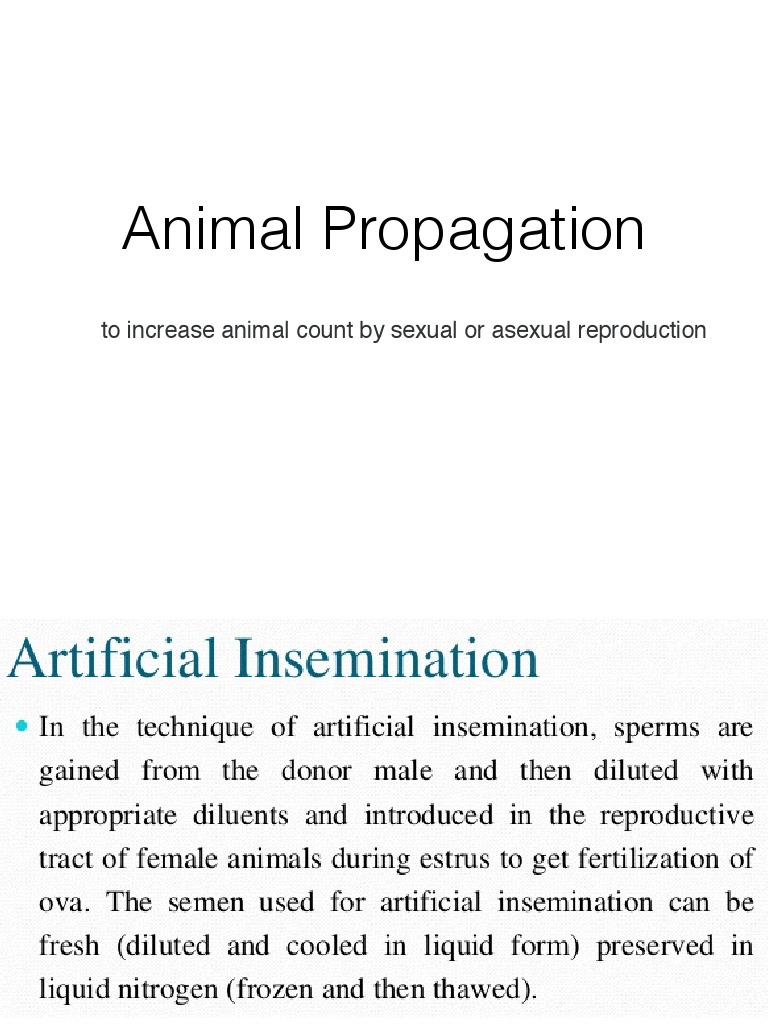 Artificial Insemination PDF Semen Sperm