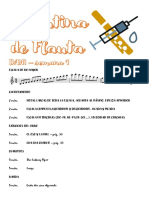 Rutina Flauta Anti-Virus - Dani PDF