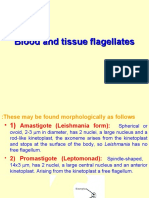 Blood and Tissue Flagellates