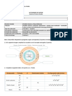 Actividades Quimica Primero Medio Semana 1