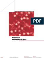 Japanese Encephalitis