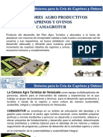 Corredor Productivo Camagrotur PDF