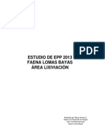 ESTUDIO DE EPP 2012 LIXIVIACION...