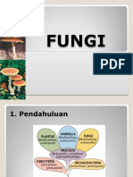 B3 Fungi