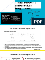 Piroglutamat