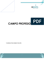 Documento Final Campoprofesional PDF