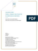 Orientaciones Primaria Privada Final PDF