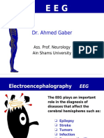 EEG Basics PDF