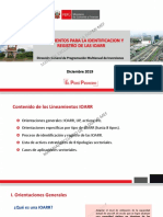 Lineamientos IOARR PDF