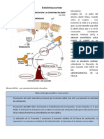 Cardiologia 3 Betabloqueantes y Calcion Antagonistas