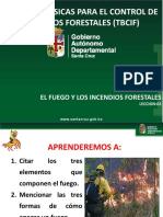 TBCIF 02 EL FUEGO Y LOS INCENDIOS FORESTALES (3).pptx