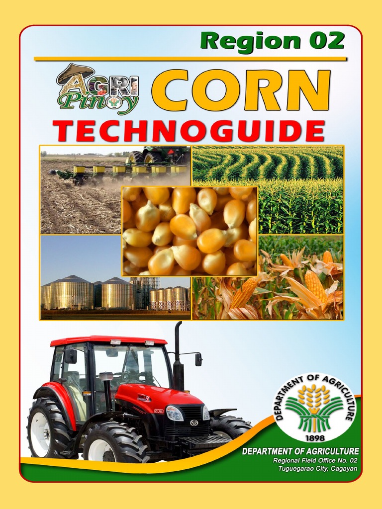 Cagayan Valley Corn Production Guide | PDF | Fertilizer | Soil