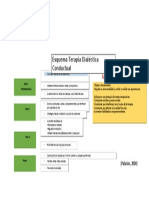 Esquema Resumen Terapia Dialectica Conductual - JPG