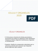 7o 1CELULA Organe 2020 PDF