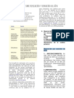 Replicación y reparación del ADN en la horquilla de replicación