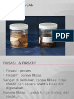 Fiksasi & Fiksatif