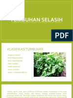 Tumbuhan Selasih