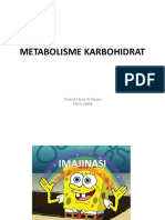 Metabolisme Karbohidrat PDF