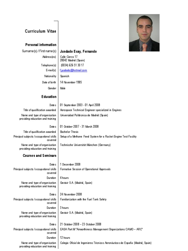 Curriculum vitae examples pdf picture