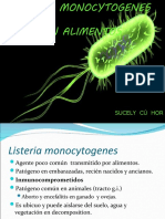 Presentacion Bacterias