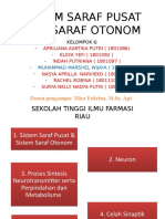 Sistem Saraf Pusat Dan Saraf Otonom