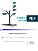 Forme de Coroana Vas Si Palmete