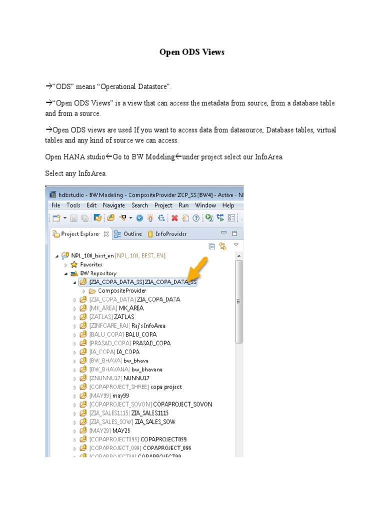 9.open ODS Views PDF