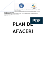 1 Model de plan de afaceri_word.docx