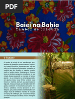 Portifólio - Baiei na Bahia.pdf