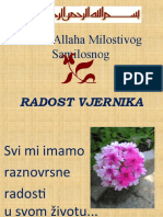 Radost Vjernika