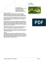 Phyllanthus Acidus PDF