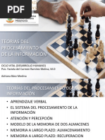 PROCESAMIENTO DE LA INFORMACION