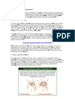 Como A Osteoporose Se Desenvolve