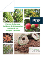 catalogo100plantasbosquesdecanoas.pdf