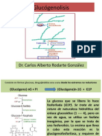GLUCOGENOLISIS